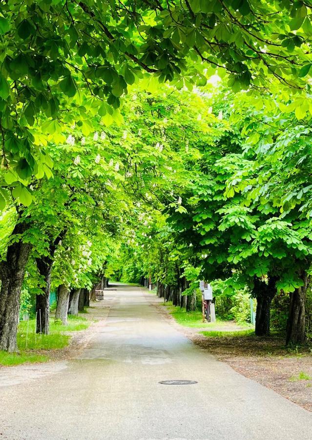 Aranygesztenye Apartmanhaz Balatonudvari Ngoại thất bức ảnh